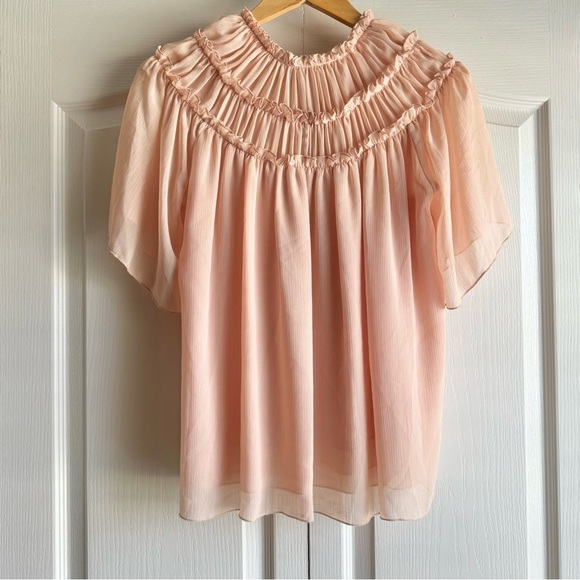 Zara Pleated Lace Flutter Sleeve Blouse - Picture 5 of 7